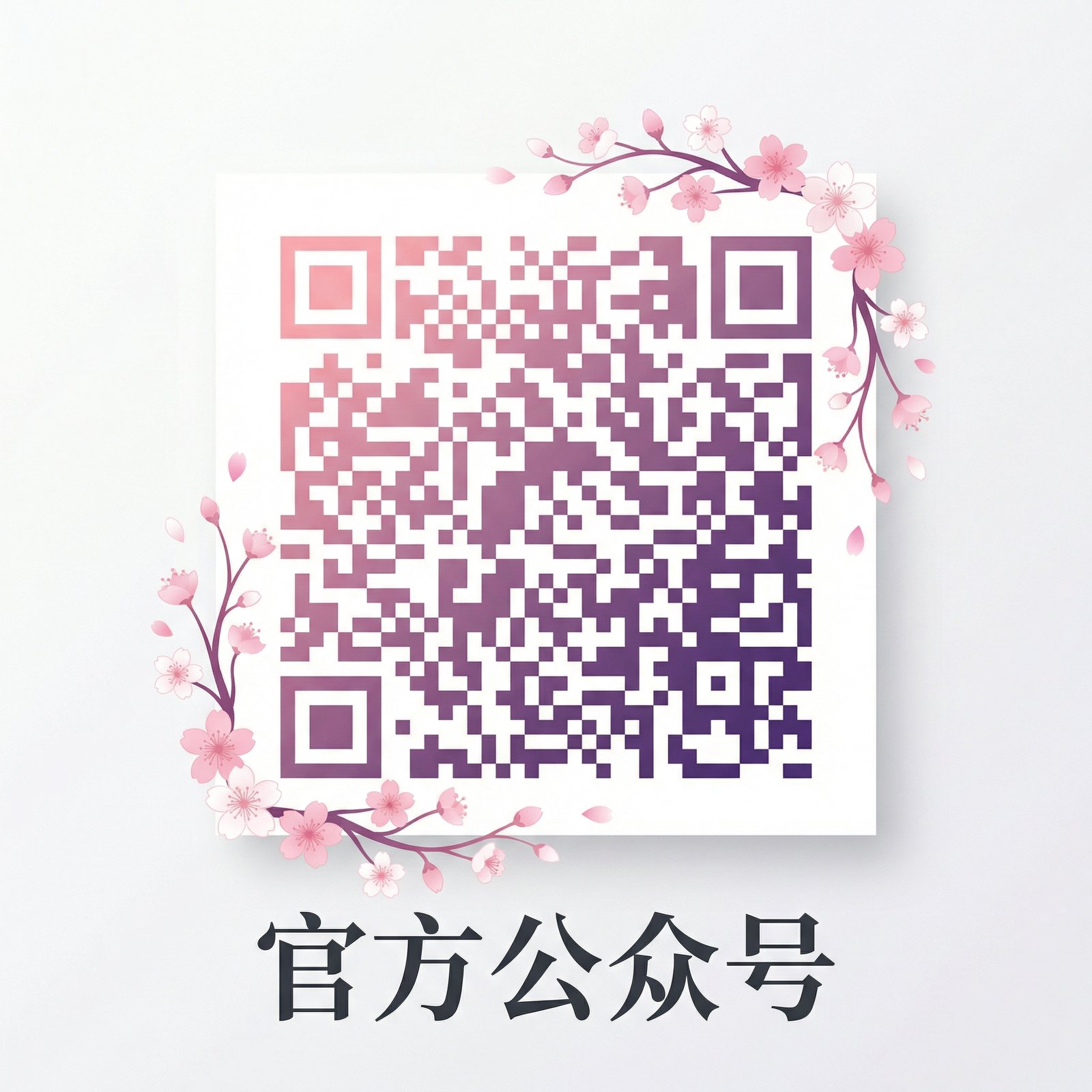 校花传媒官方公众号二维码